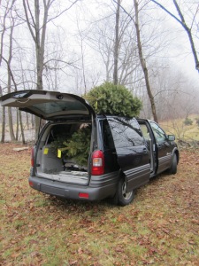 All the trees loaded for the trip back home.